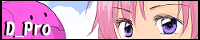 D_Pro